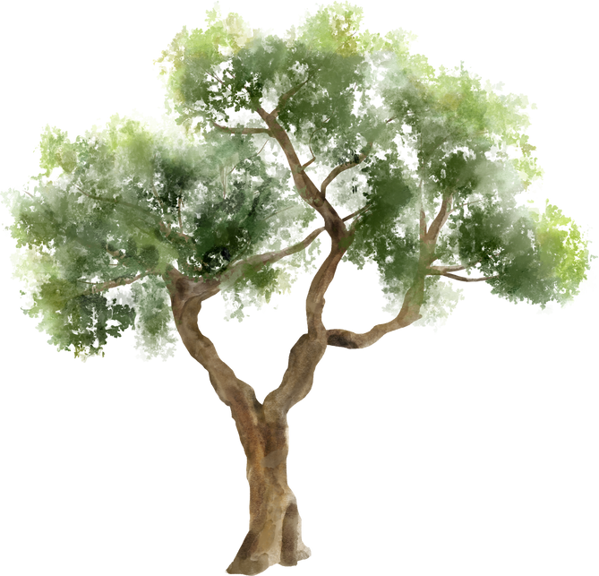 Tree in Watercolor Style